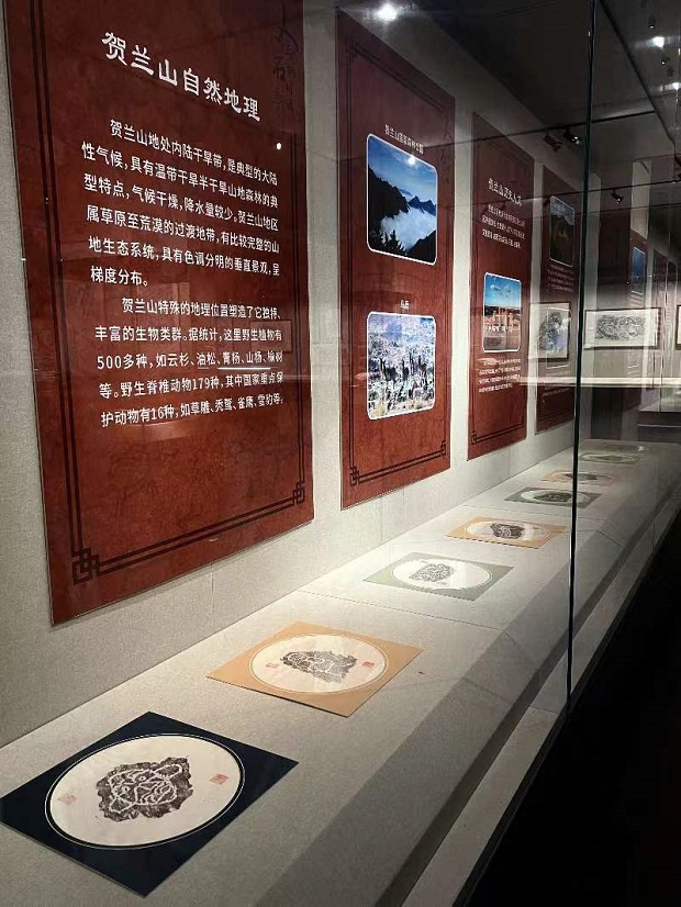 image005.jpg image005.jpg