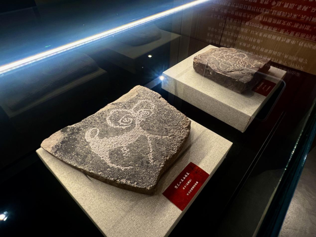 image007 (2).jpg image007 (2).jpg