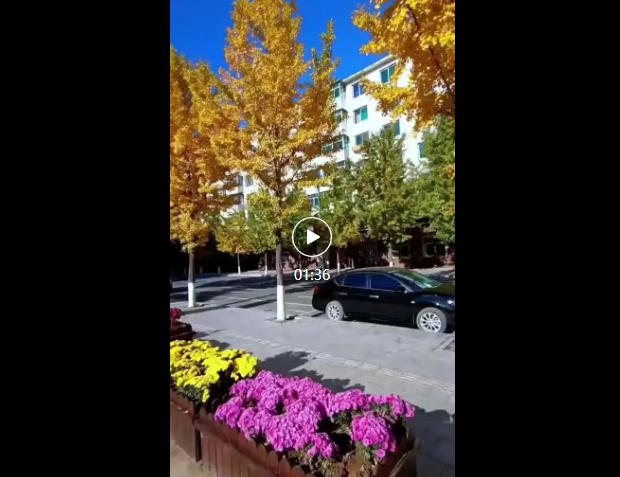 wechat_2025-10-27_085859_555.jpg wechat_2025-10-27_085859_555.jpg